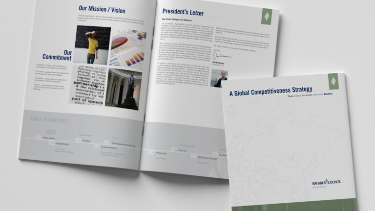 Hero Bay Area Council Annual Report Mockup
